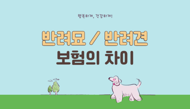 반려묘/반려견보험의 차이